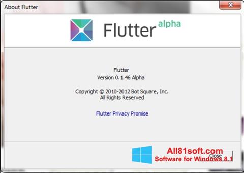 Snimak zaslona Flutter Windows 8.1