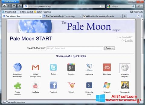 Snimak zaslona Pale Moon Windows 8.1
