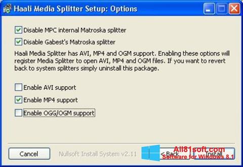 Snimak zaslona Haali Media Splitter Windows 8.1