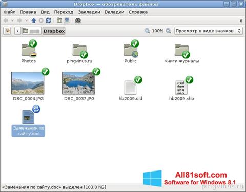 Snimak zaslona Dropbox Windows 8.1
