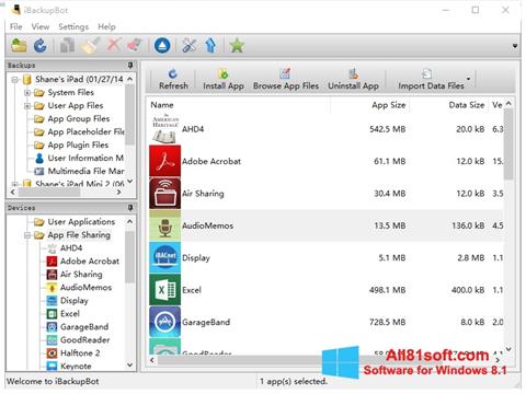 Snimak zaslona iBackupBot Windows 8.1