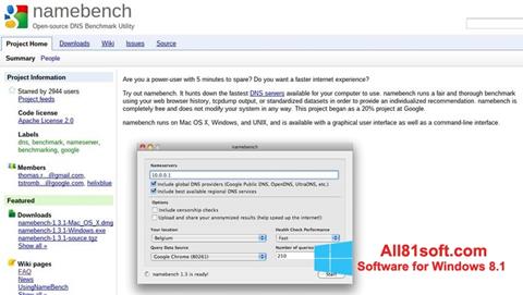 Snimak zaslona NameBench Windows 8.1