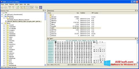 Snimak zaslona DMDE Windows 8.1