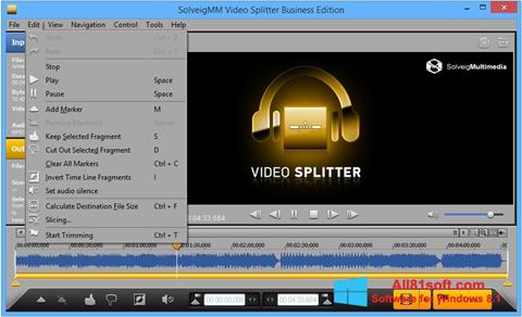 Snimak zaslona SolveigMM Video Splitter Windows 8.1