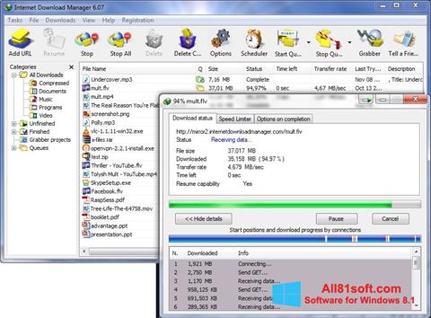 Snimak zaslona Internet Download Manager Windows 8.1