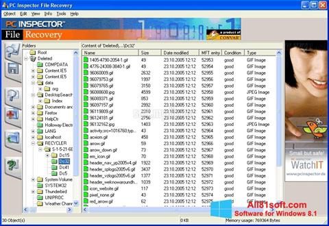 Snimak zaslona PC Inspector File Recovery Windows 8.1