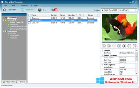 Snimak zaslona Any Video Converter Windows 8.1