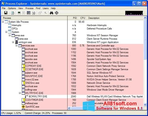 Snimak zaslona Process Explorer Windows 8.1
