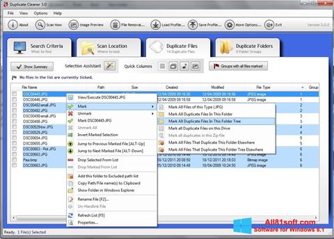 Snimak zaslona Duplicate Cleaner Windows 8.1